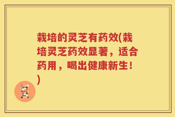 栽培的灵芝有药效(栽培灵芝药效显著，适合药用，喝出健康新生！)