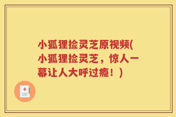 小狐狸捡灵芝原视频(小狐狸捡灵芝，惊人一幕让人大呼过瘾！)