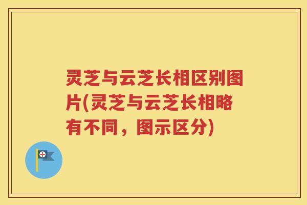 灵芝与云芝长相区别图片(灵芝与云芝长相略有不同，图示区分)