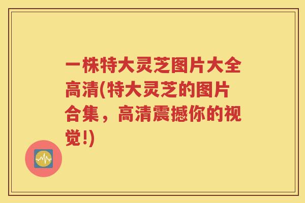 一株特大灵芝图片大全高清(特大灵芝的图片合集，高清震撼你的视觉!)