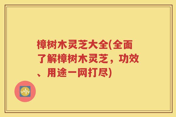 樟树木灵芝大全(全面了解樟树木灵芝，功效、用途一网打尽)