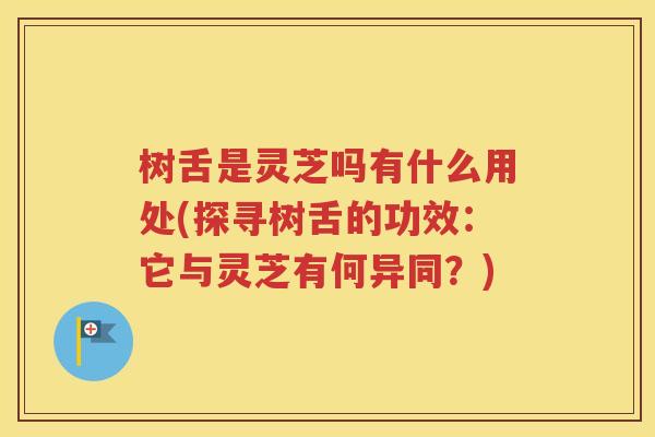 树舌是灵芝吗有什么用处(探寻树舌的功效：它与灵芝有何异同？)