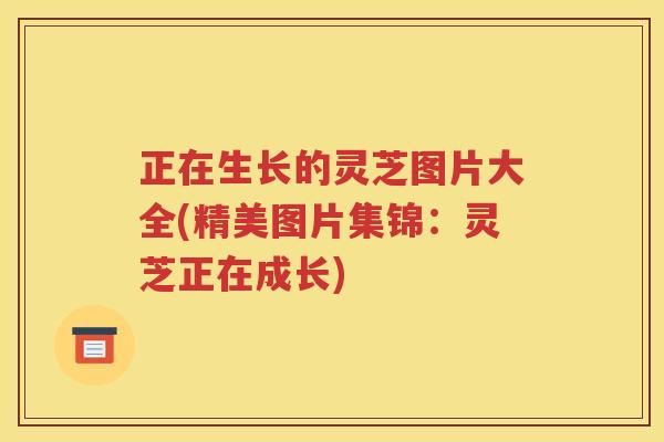 正在生长的灵芝图片大全(精美图片集锦：灵芝正在成长)