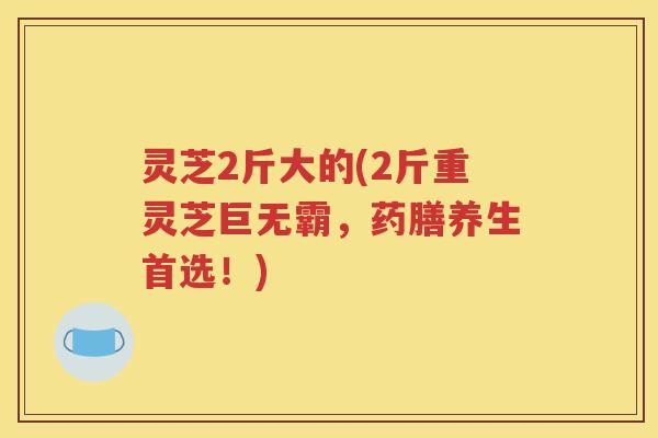 灵芝2斤大的(2斤重灵芝巨无霸，药膳养生首选！)