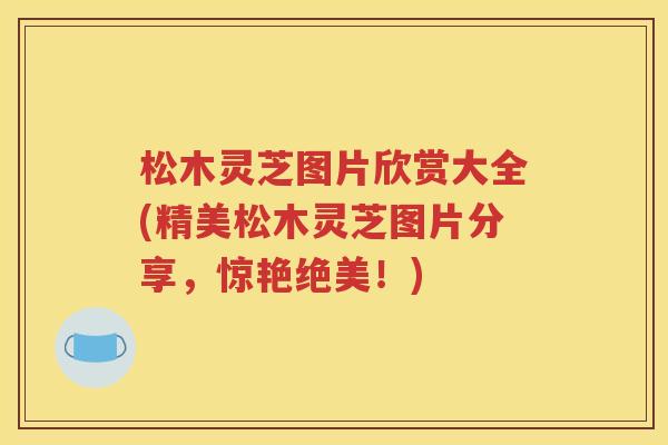 松木灵芝图片欣赏大全(精美松木灵芝图片分享，惊艳绝美！)