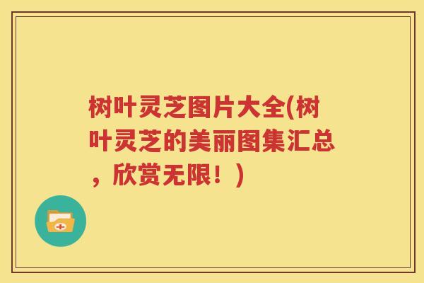 树叶灵芝图片大全(树叶灵芝的美丽图集汇总，欣赏无限！)