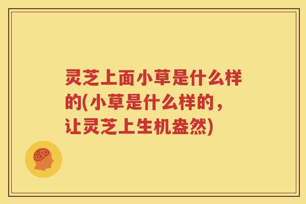 灵芝上面小草是什么样的(小草是什么样的，让灵芝上生机盎然)