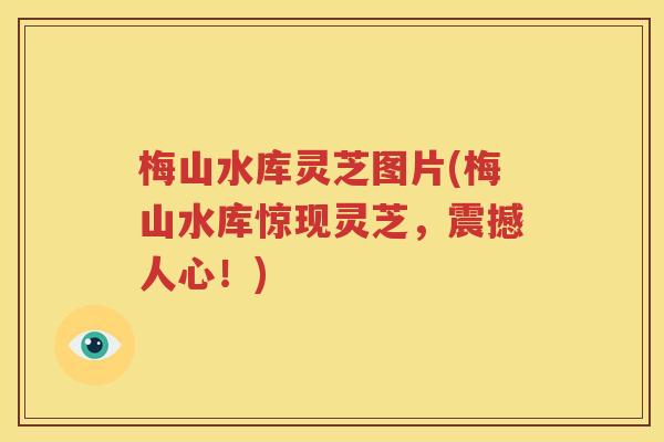 梅山水库灵芝图片(梅山水库惊现灵芝，震撼人心！)