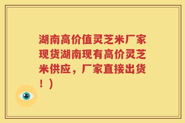 湖南高价值灵芝米厂家现货湖南现有高价灵芝米供应，厂家直接出货！)