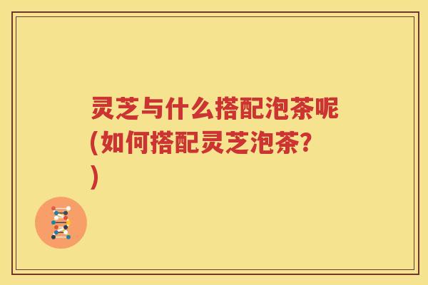 灵芝与什么搭配泡茶呢(如何搭配灵芝泡茶？)