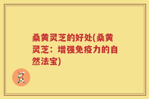 桑黄灵芝的好处(桑黄灵芝：增强免疫力的自然法宝)