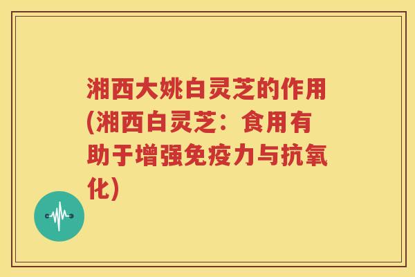 湘西大姚白灵芝的作用(湘西白灵芝：食用有助于增强免疫力与抗氧化)