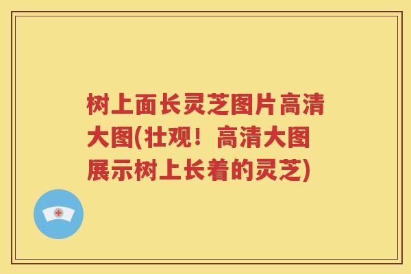 树上面长灵芝图片高清大图(壮观！高清大图展示树上长着的灵芝)