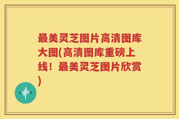 最美灵芝图片高清图库大图(高清图库重磅上线！最美灵芝图片欣赏)