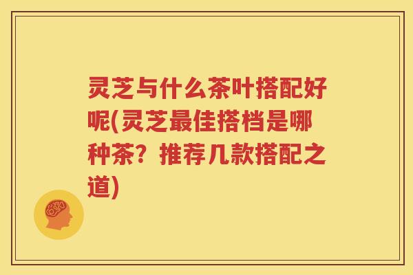 灵芝与什么茶叶搭配好呢(灵芝最佳搭档是哪种茶？推荐几款搭配之道)