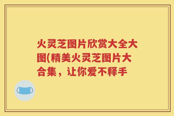 火灵芝图片欣赏大全大图(精美火灵芝图片大合集，让你爱不释手