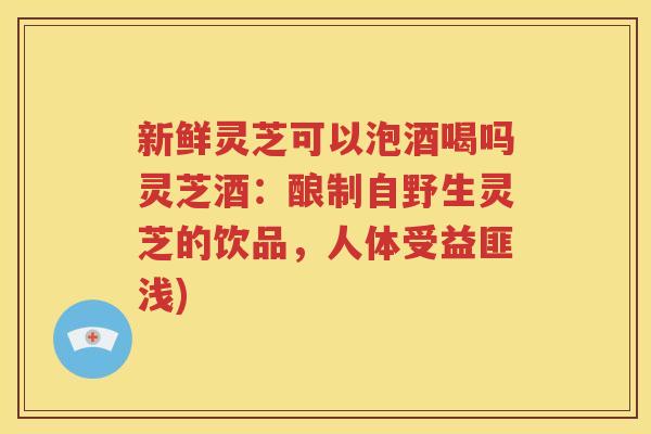 新鲜灵芝可以泡酒喝吗灵芝酒：酿制自野生灵芝的饮品，人体受益匪浅)