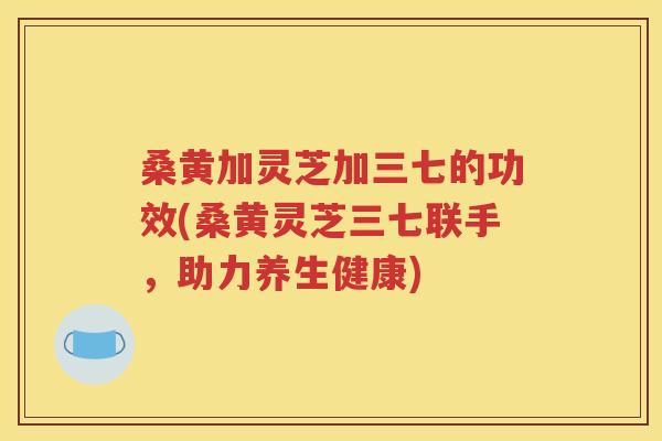 桑黄加灵芝加三七的功效(桑黄灵芝三七联手，助力养生健康)