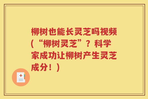 柳树也能长灵芝吗视频(“柳树灵芝”？科学家成功让柳树产生灵芝成分！)