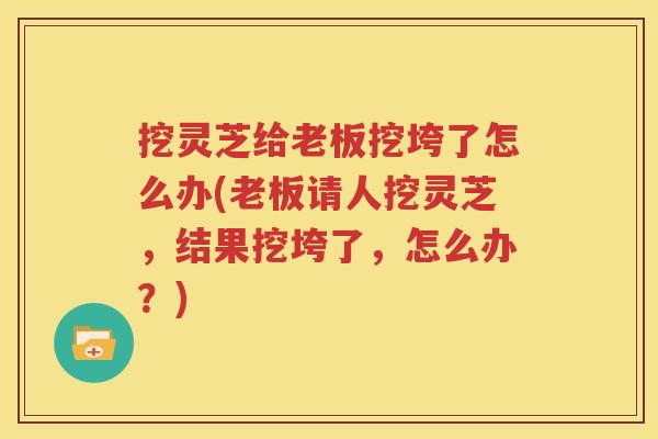 挖灵芝给老板挖垮了怎么办(老板请人挖灵芝，结果挖垮了，怎么办？)