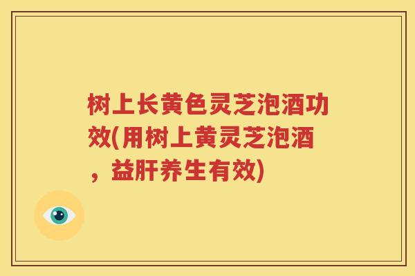 树上长黄色灵芝泡酒功效(用树上黄灵芝泡酒，益肝养生有效)