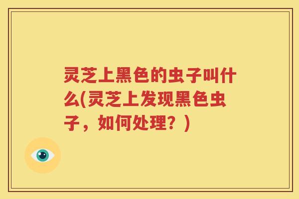 灵芝上黑色的虫子叫什么(灵芝上发现黑色虫子，如何处理？)