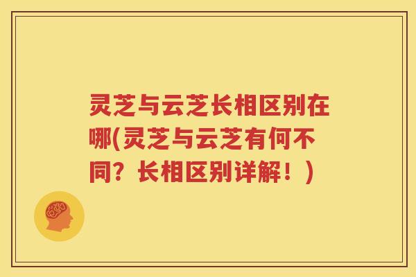 灵芝与云芝长相区别在哪(灵芝与云芝有何不同？长相区别详解！)