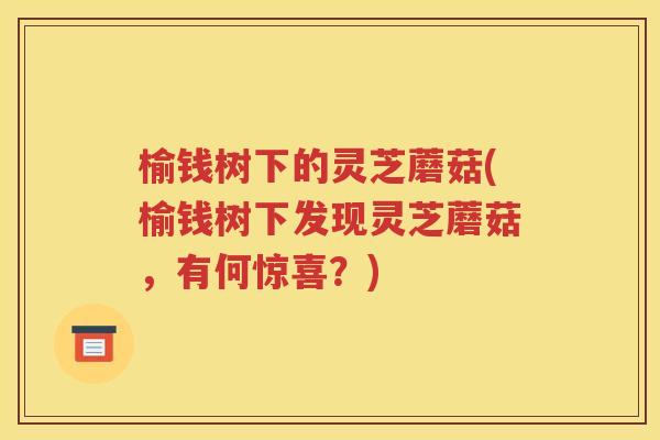 榆钱树下的灵芝蘑菇(榆钱树下发现灵芝蘑菇，有何惊喜？)