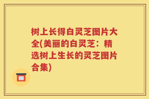 树上长得白灵芝图片大全(美丽的白灵芝：精选树上生长的灵芝图片合集)