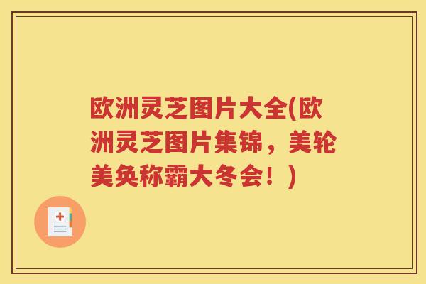 欧洲灵芝图片大全(欧洲灵芝图片集锦，美轮美奂称霸大冬会！)