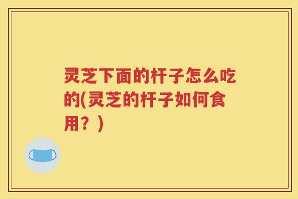 灵芝下面的杆子怎么吃的(灵芝的杆子如何食用？)