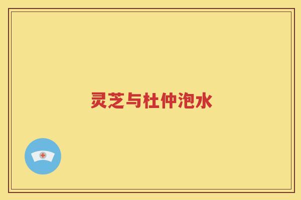 灵芝与杜仲泡水