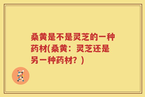 桑黄是不是灵芝的一种药材(桑黄：灵芝还是另一种药材？)