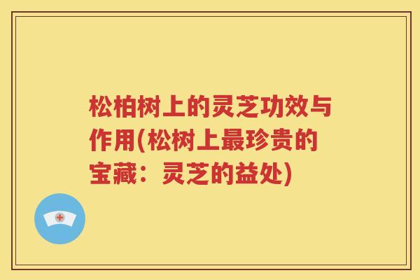 松柏树上的灵芝功效与作用(松树上最珍贵的宝藏：灵芝的益处)