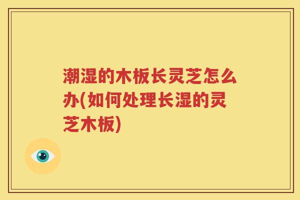 潮湿的木板长灵芝怎么办(如何处理长湿的灵芝木板)