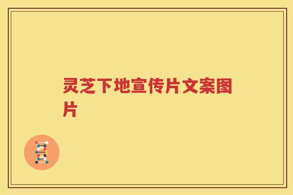 灵芝下地宣传片文案图片