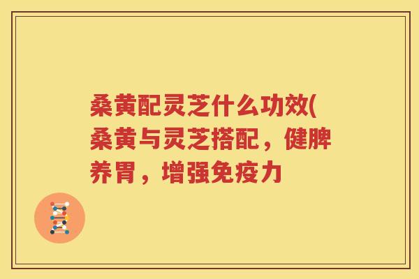 桑黄配灵芝什么功效(桑黄与灵芝搭配，健脾养胃，增强免疫力