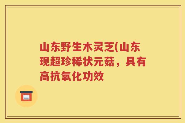 山东野生木灵芝(山东现超珍稀状元菇，具有高抗氧化功效