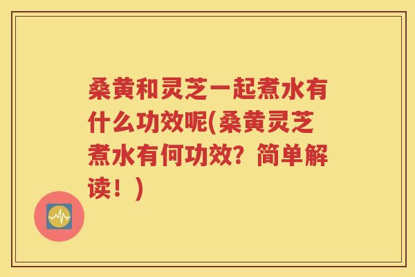桑黄和灵芝一起煮水有什么功效呢(桑黄灵芝煮水有何功效？简单解读！)