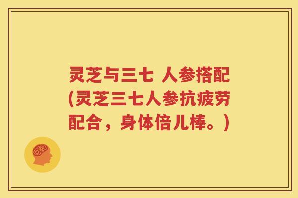 灵芝与三七 人参搭配(灵芝三七人参抗疲劳配合，身体倍儿棒。)