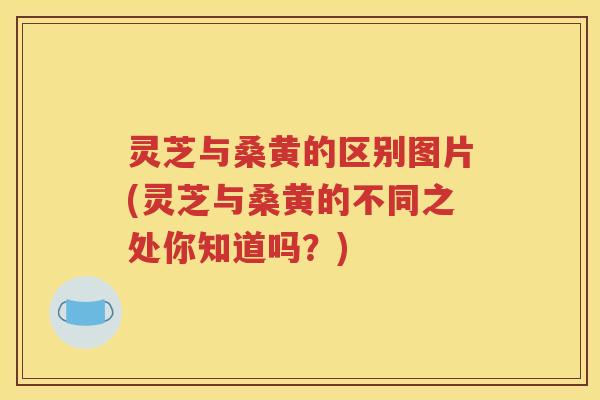 灵芝与桑黄的区别图片(灵芝与桑黄的不同之处你知道吗？)