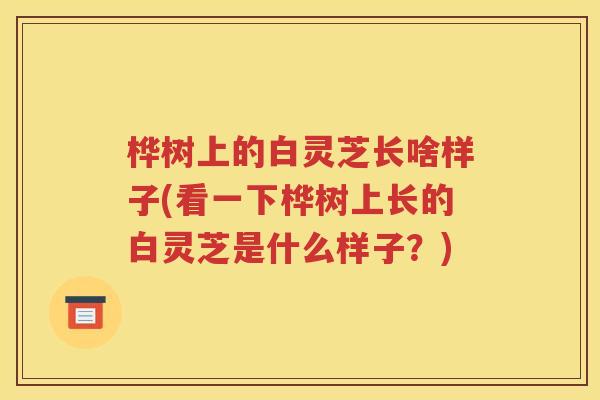 桦树上的白灵芝长啥样子(看一下桦树上长的白灵芝是什么样子？)