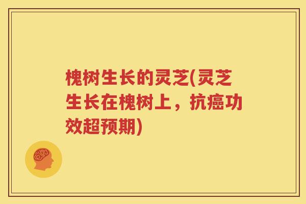 槐树生长的灵芝(灵芝生长在槐树上，抗癌功效超预期)
