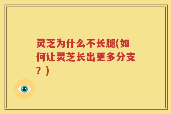 灵芝为什么不长腿(如何让灵芝长出更多分支？)