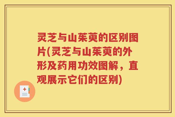 灵芝与山茱萸的区别图片(灵芝与山茱萸的外形及药用功效图解，直观展示它们的区别)