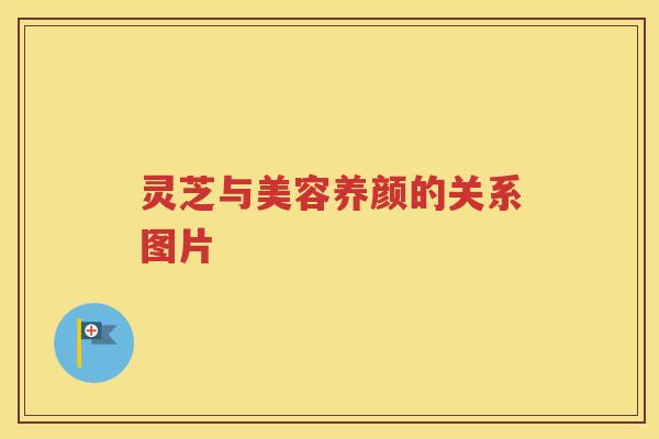 灵芝与美容养颜的关系图片