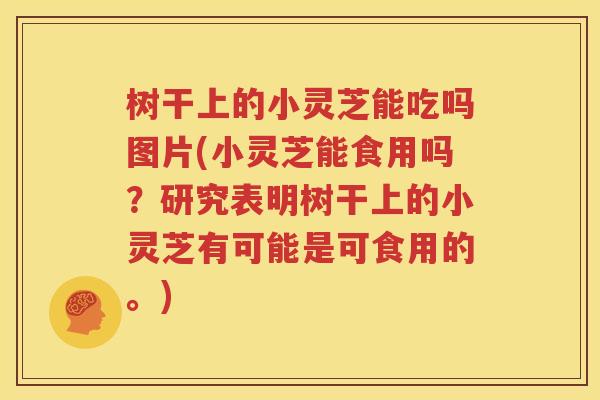树干上的小灵芝能吃吗图片(小灵芝能食用吗？研究表明树干上的小灵芝有可能是可食用的。)