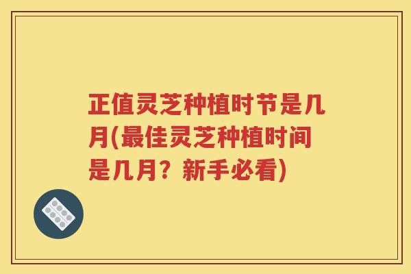正值灵芝种植时节是几月(最佳灵芝种植时间是几月？新手必看)
