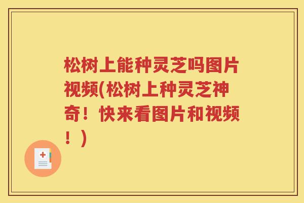 松树上能种灵芝吗图片视频(松树上种灵芝神奇！快来看图片和视频！)