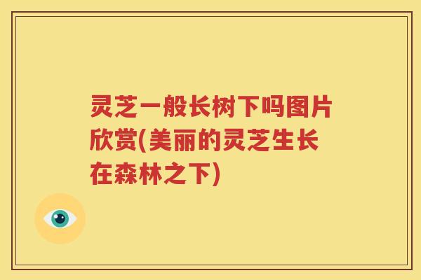 灵芝一般长树下吗图片欣赏(美丽的灵芝生长在森林之下)
